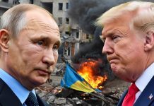 «Должна состояться в ближайшем будущем»: в Госдуме сообщили о сроках возможной встречи Путина и Трампа