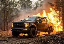 «Всего 3 км до коллапса»: падение Нечаевки позволило РФ зайти с тыла в главной линии обороны ВСУ под Гуляйполем