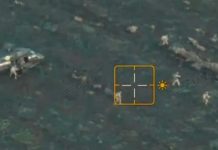 «Украинцам скормили залипуху»: ГУР попытался отмыться от позора с десантом в Покровске, показав «доказательства блестящей операции» — БлокнотРУ — Новости СВО. Новости СВО на сегодня. Новости Украины. СВО последние новости. СВО новости. Новости СВО сегодня. Новости. Новости СВО на сегодня свежие. Новости с фронта. Последние новости СВО. Новости России и мира сегодня. Зеленский последние новости. Война на Украине последние новости. СВО новости на сегодня Россия. Новости СВО на Украине. Последние новости СВО на сегодня.