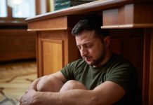 «Зеленский четыре года создавал условия для коррупции»: главарь киевского режима специально ослаблял наблюдательные советы госкомпаний