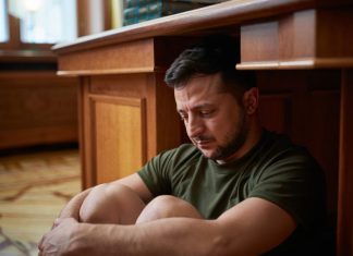 «Зеленский четыре года создавал условия для коррупции»: главарь киевского режима специально ослаблял наблюдательные советы госкомпаний