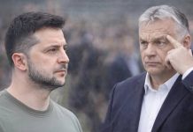 А за подзатыльник ответишь: Орбан жестко ответил на хамство Зеленского