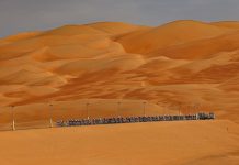 Тур ОАЭ-2026. Маршрут и участники