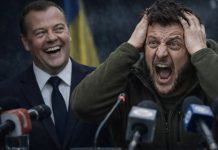 «Зелёное ничтожество»: Медведев приговорил Зеленского, после слов главаря киевского режима о Путине — БлокнотРУ — Новости. Медведев новости. Медведев. Новости Медведев. Медведев последние новости на сегодня.