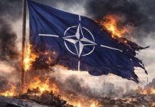 Европа готовится жить без США: в НАТО зреет гигантский раскол — поддерживать Альянс Трамп больше не будет