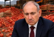 ЕС кинул Пашиняна и отказался от армянских помидоров: в России урожай не берут – томаты гниют в полях