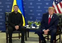 «Пришло время»: Трамп и Зеленский начали переговоры в ООН
