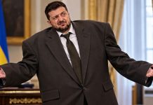 «От чего же так корежило»: Зеленский встречался с Трампом в кроссовках и с перекошенным лицом